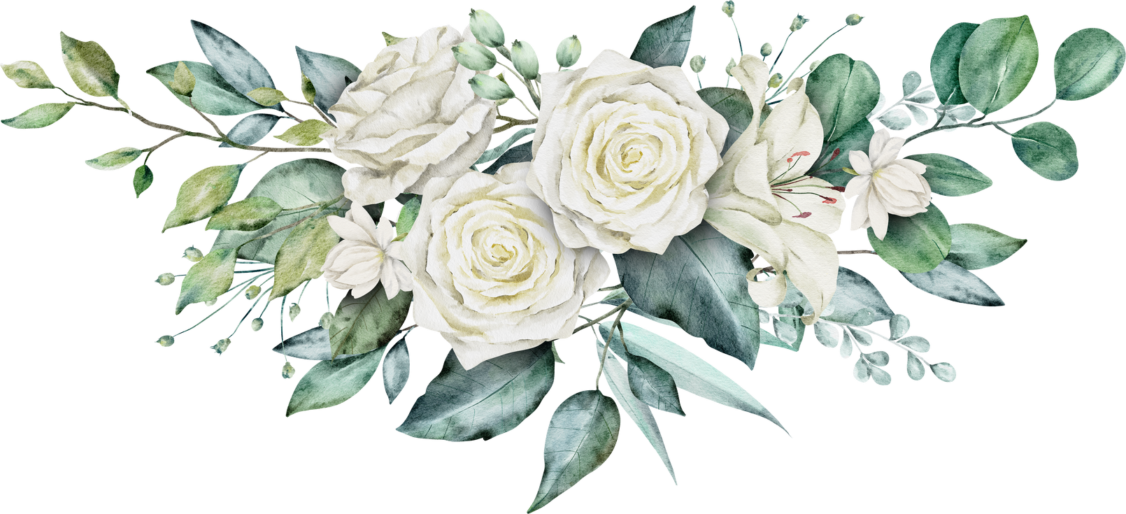 Green leaves and white rose watercolor